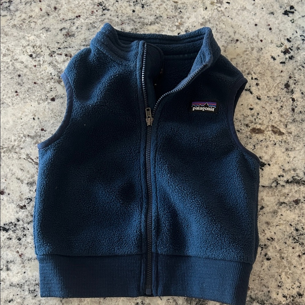 Patagonia Navy Fleece Vest